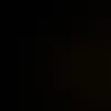 domenico_xx