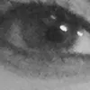 utilisateur_74