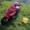 xxrayzoxx
