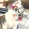 sonik_12396