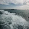 njoud.wa