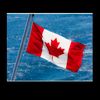 Nice_man🇨🇦🇵🇰