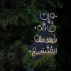 ali.sh507