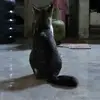 akuajdeh