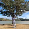 maithanh_731