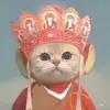 momo.sn