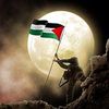 shahamry_30