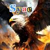 syae.541pol