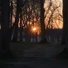 v.s.c.o_g.i.rl