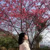 dogohagiang23