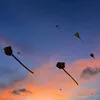 nqt.sos