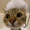 detki_konfetki7