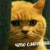 qwertytyuuiiiiio