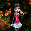 draculaura_dolls