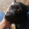minhtamxbox