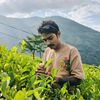 sujan_rock