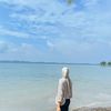arienrc_