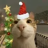 nattawut_200i