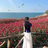 hoaiandangbiom