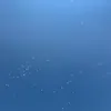 30745586657