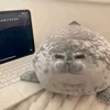 sealydenyy