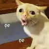 ngocduc2310