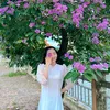 phan_nanaphan