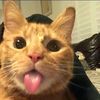 cloudedblue14