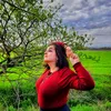 andreaa_pzl