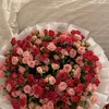 sh_oma16