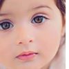 user031517065