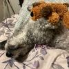 serenndipitty