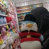fie_dech96