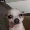 mickikem