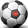 alloliga