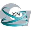 bsm15365