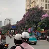 pachulan