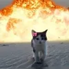 lahruowhfvbdhwk