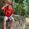 denguarico