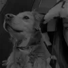lilisssaaa