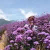 nhuquynh689025