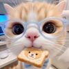 mowwchiiiw
