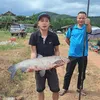 tiktok.comdaunguyen