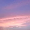nizi08080