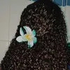 _yayaswx