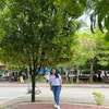 aleshayy1