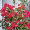 nguyenphuong200190