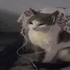 lirhtymi