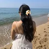 clang_162