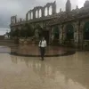 thetrinh22